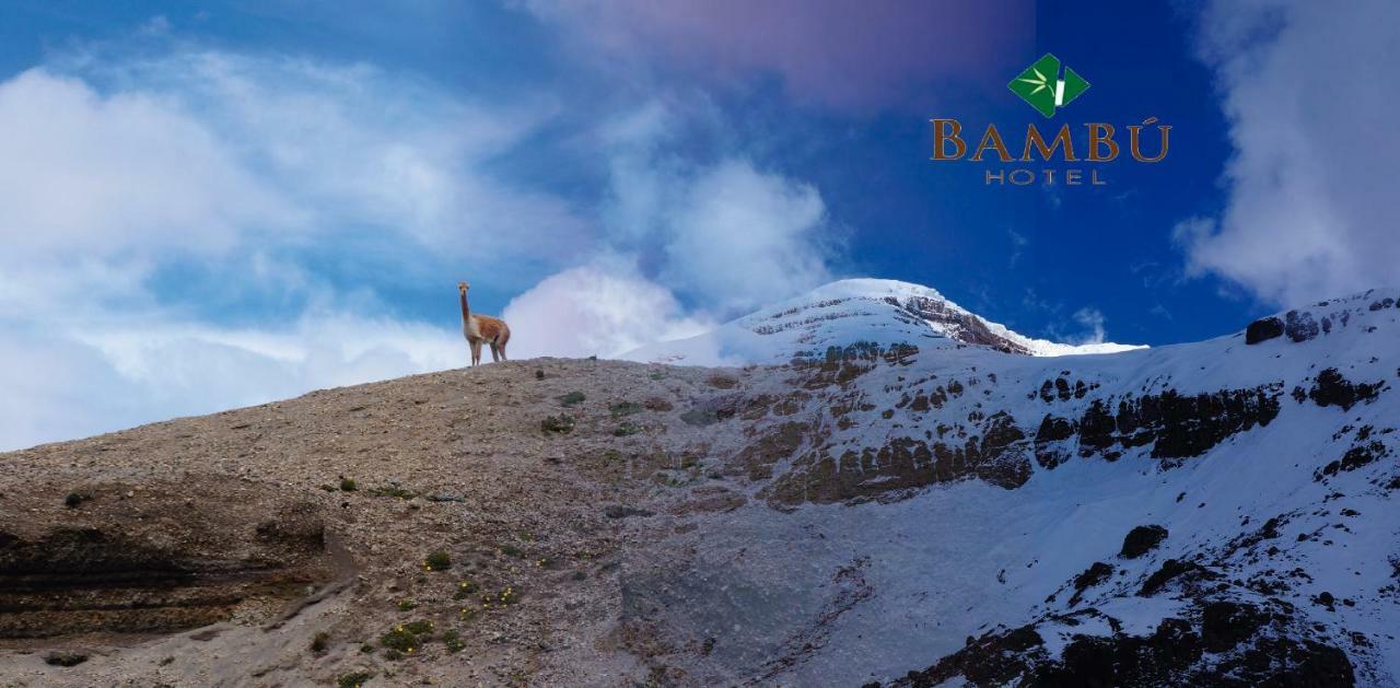 Hotel Bambu Riobamba Eksteriør billede